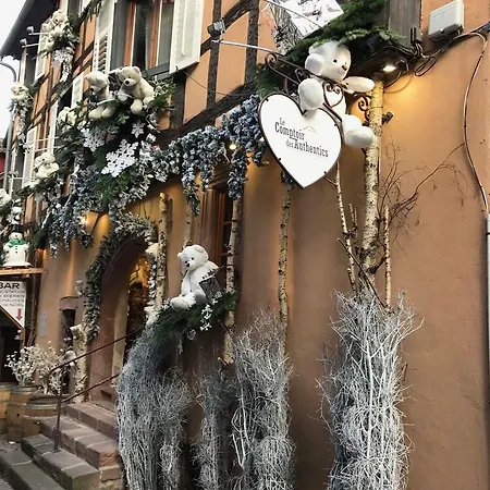 Les Authentics - La Maison D'amelie * Riquewihr