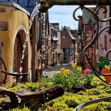 Les Authentics - La Maison D'amelie Riquewihr