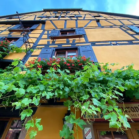 Apartment Les Authentics - La Maison D'amelie Riquewihr